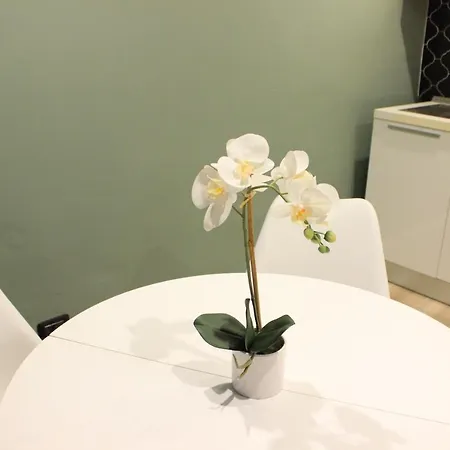 Hotel Ariston Livorno